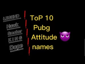 What Are Attitude PUBG Names