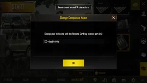 Character Limitations in PUBG Names